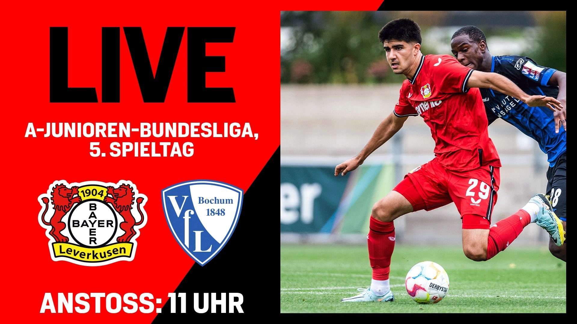 Ab Uhr Live Das U Heimspiel Gegen Den Vfl Bochum Bayer De