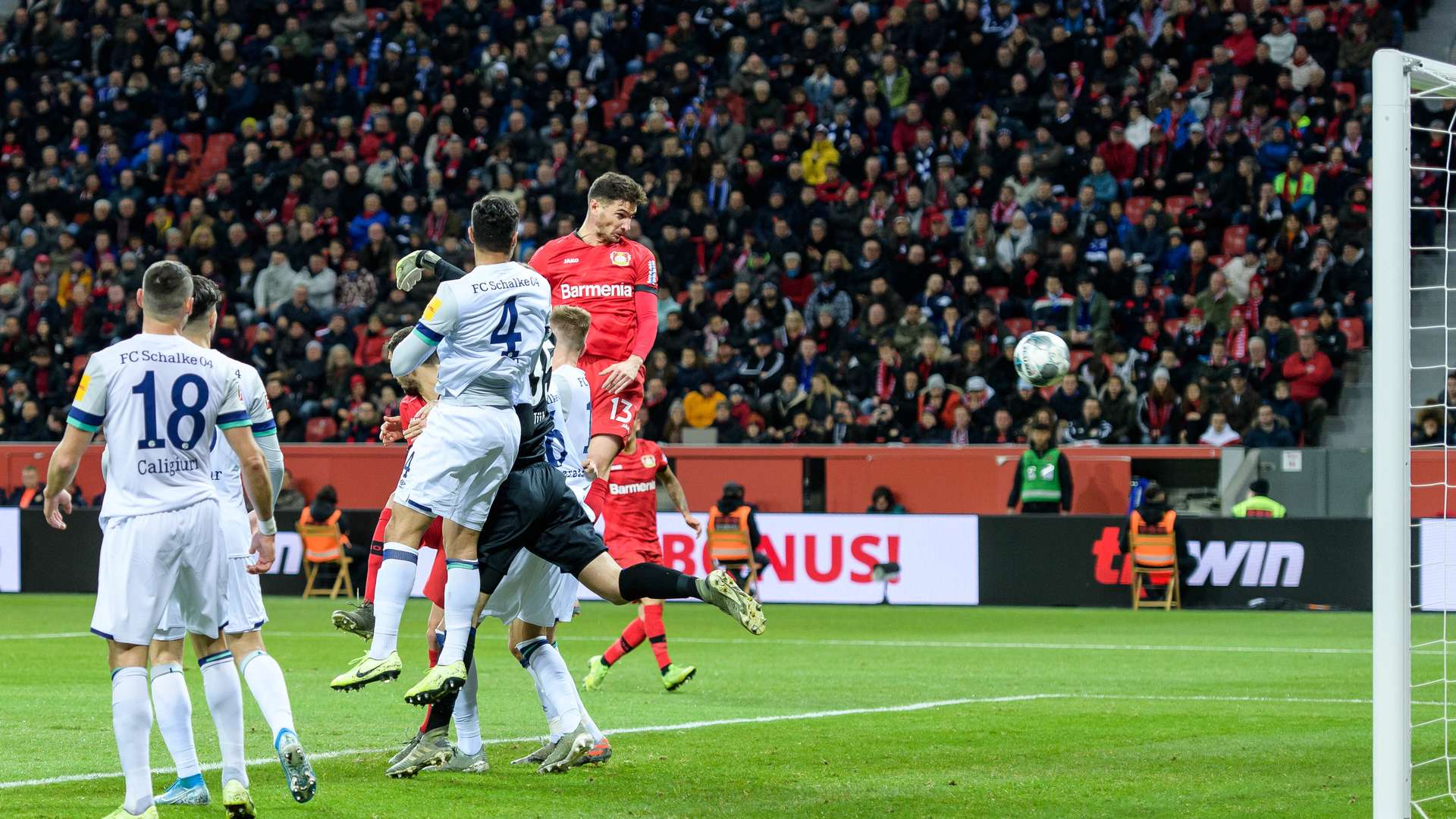 Bayer 04 Leverkusen Fans | Bayer 04