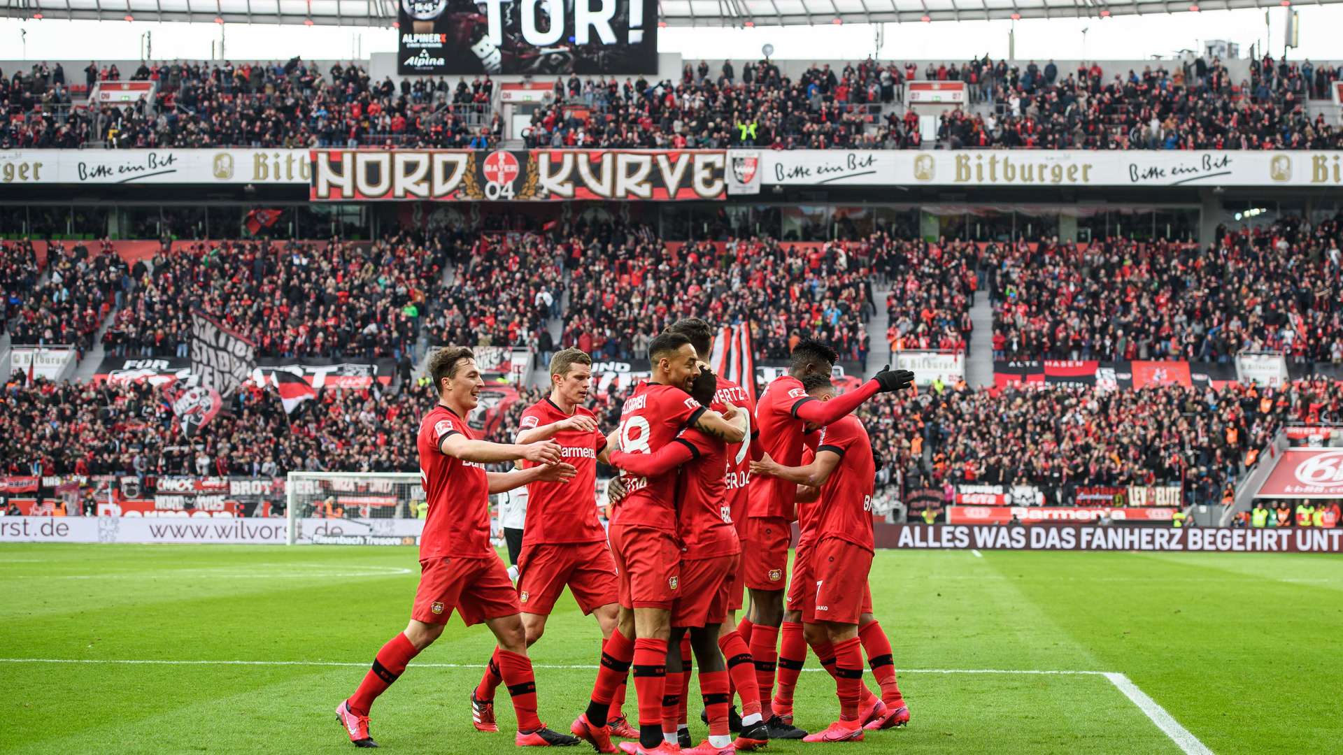 Bayer 04 Leverkusen Fans | Bayer 04