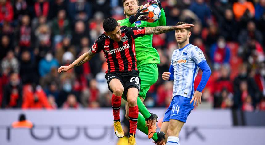 Bayer 04 Leverkusen Fußball GmbH | Bayer04.de