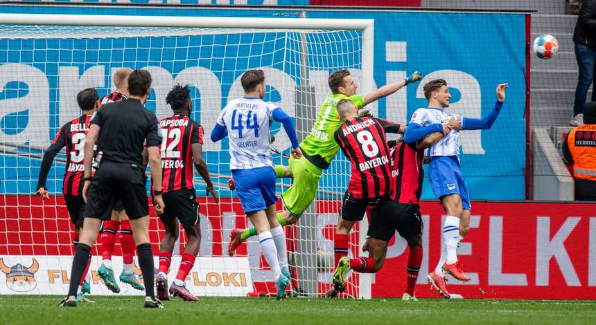 Bayer 04 Leverkusen Fußball GmbH | Bayer04.de