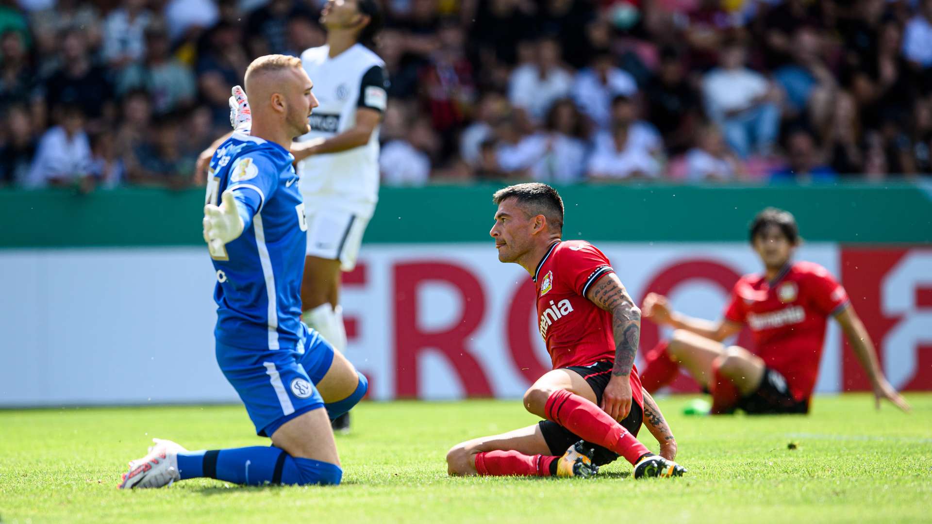 © Bayer 04 Leverkusen Fussball GmbH