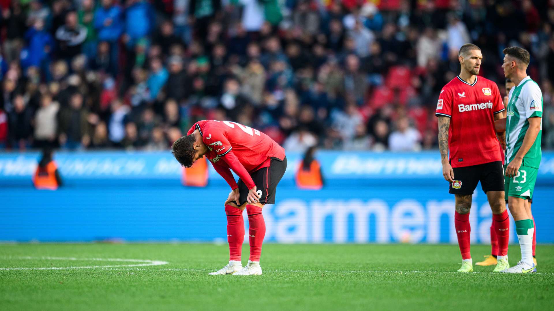 © Bayer 04 Leverkusen Fussball GmbH