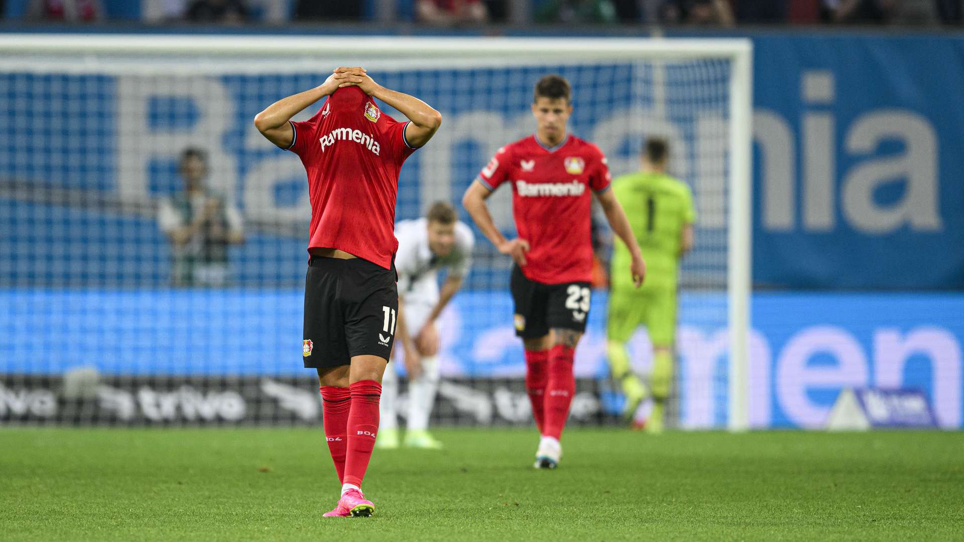 © Bayer 04 Leverkusen Fussball GmbH