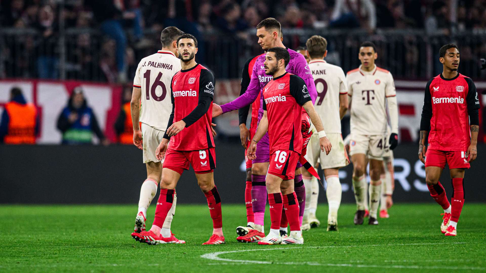 © Bayer 04 Leverkusen Fussball GmbH