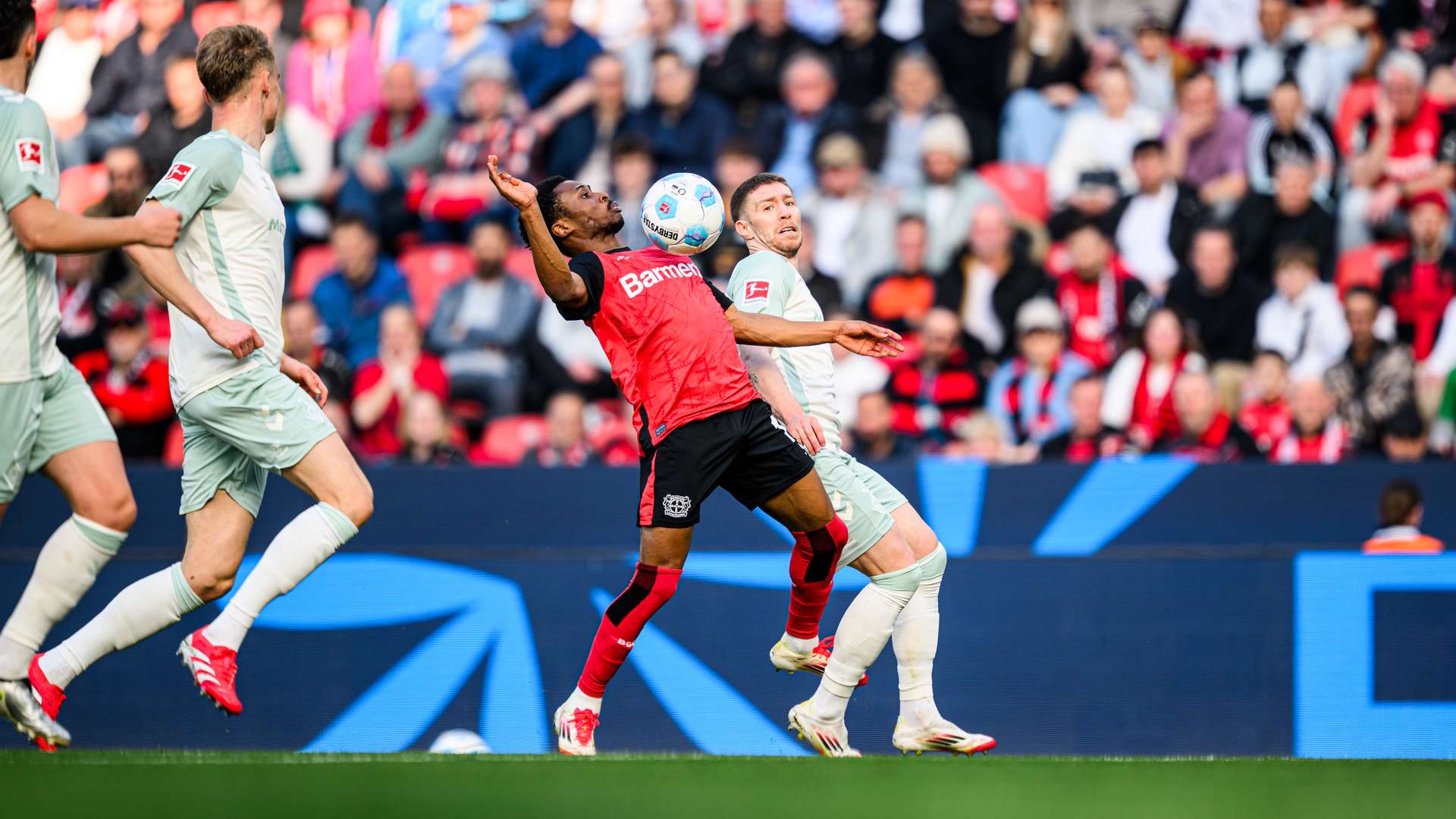 © Bayer 04 Leverkusen Fussball GmbH