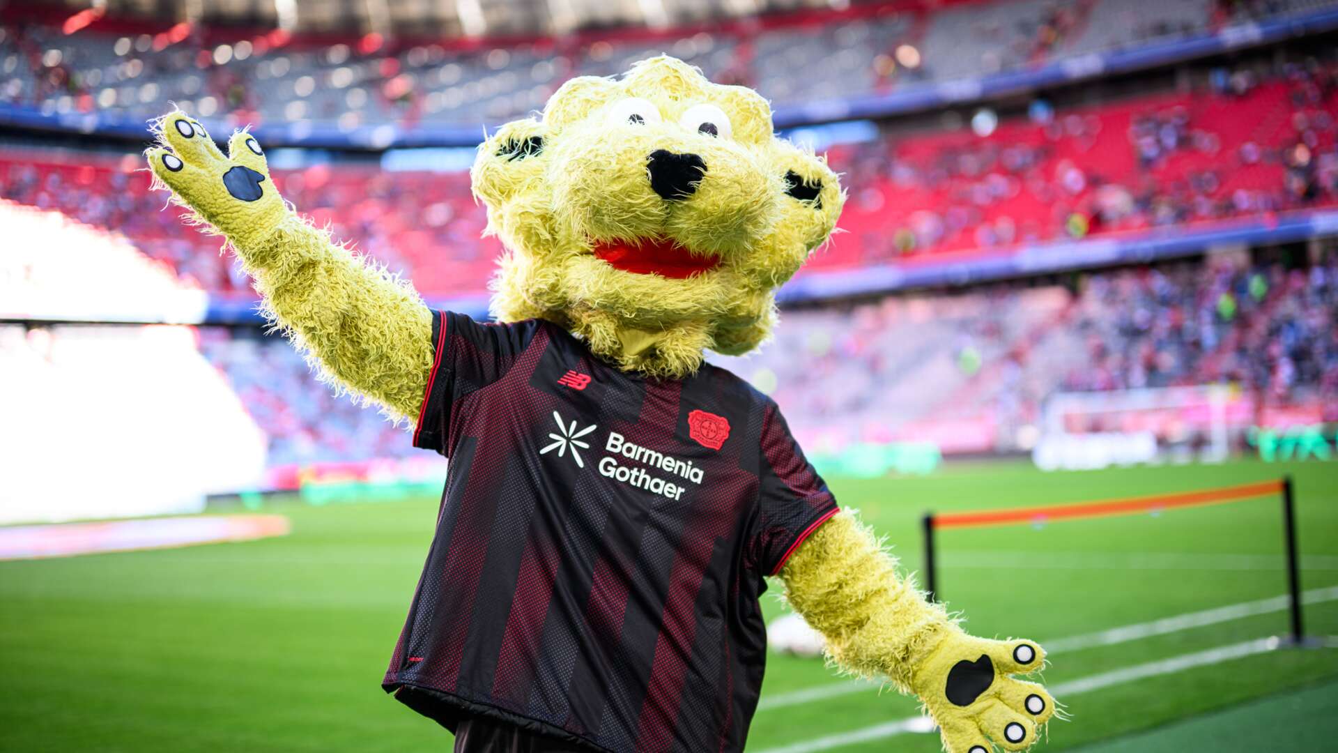 © Bayer 04 Leverkusen Fussball GmbH