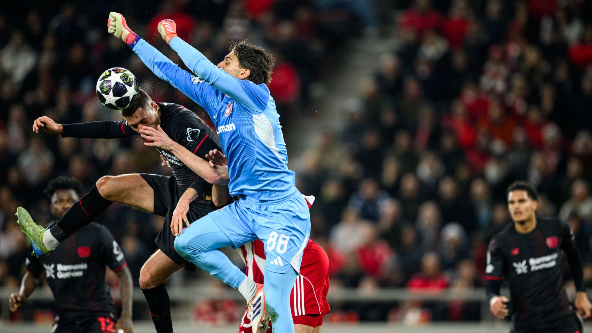 © Bayer 04 Leverkusen Fussball GmbH