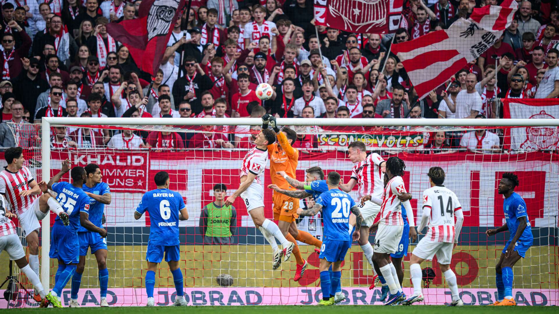 © Bayer 04 Leverkusen Fussball GmbH