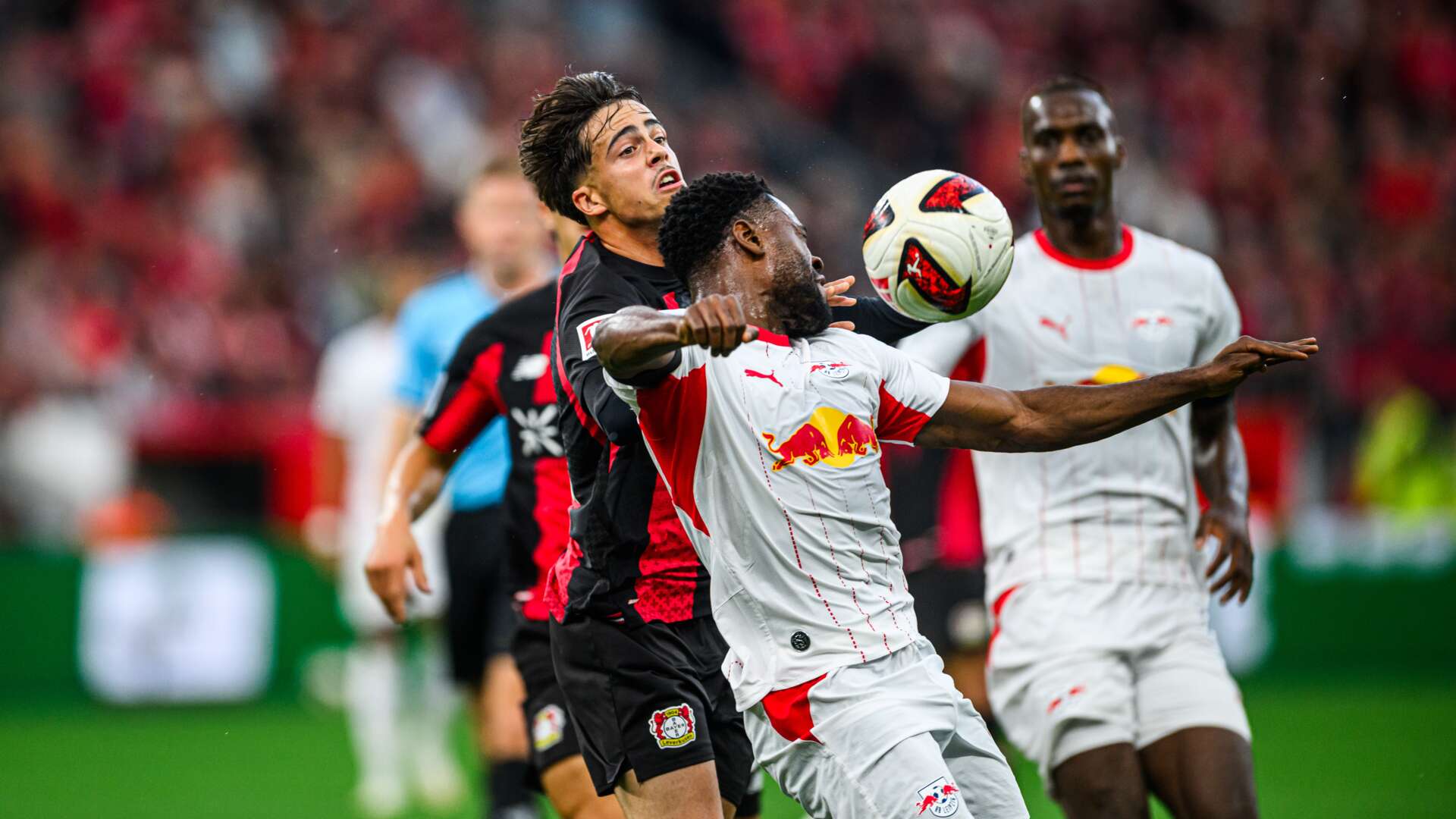 © Bayer 04 Leverkusen Fussball GmbH