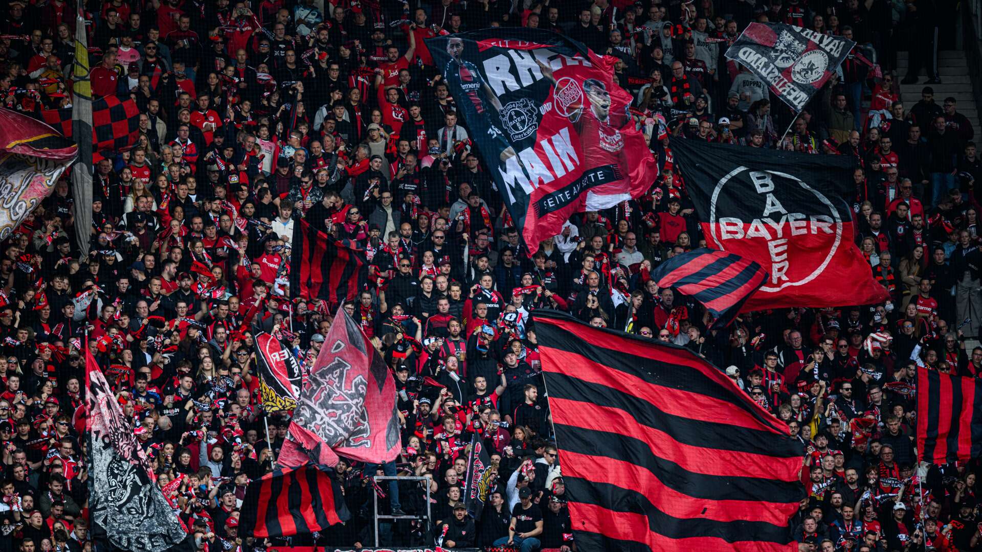 © Bayer 04 Leverkusen Fussball GmbH
