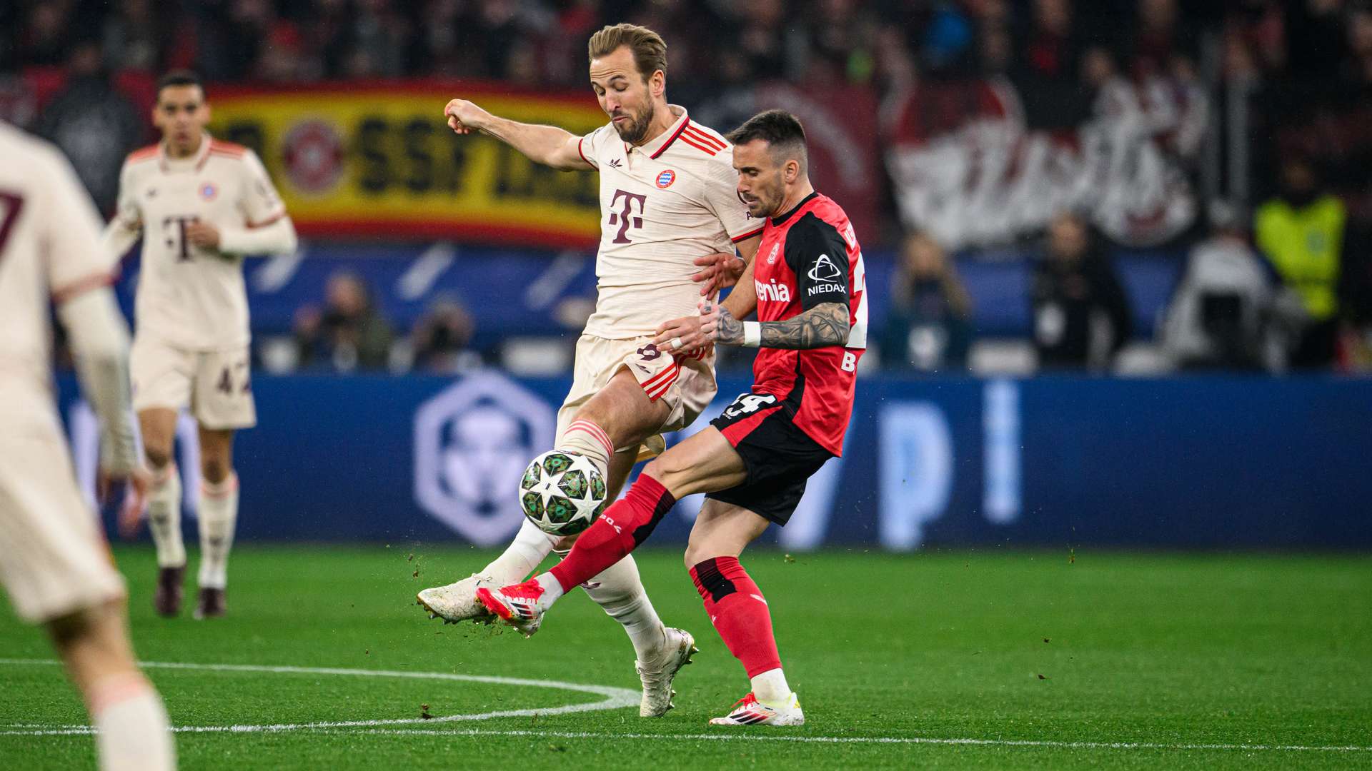 © Bayer 04 Leverkusen Fussball GmbH