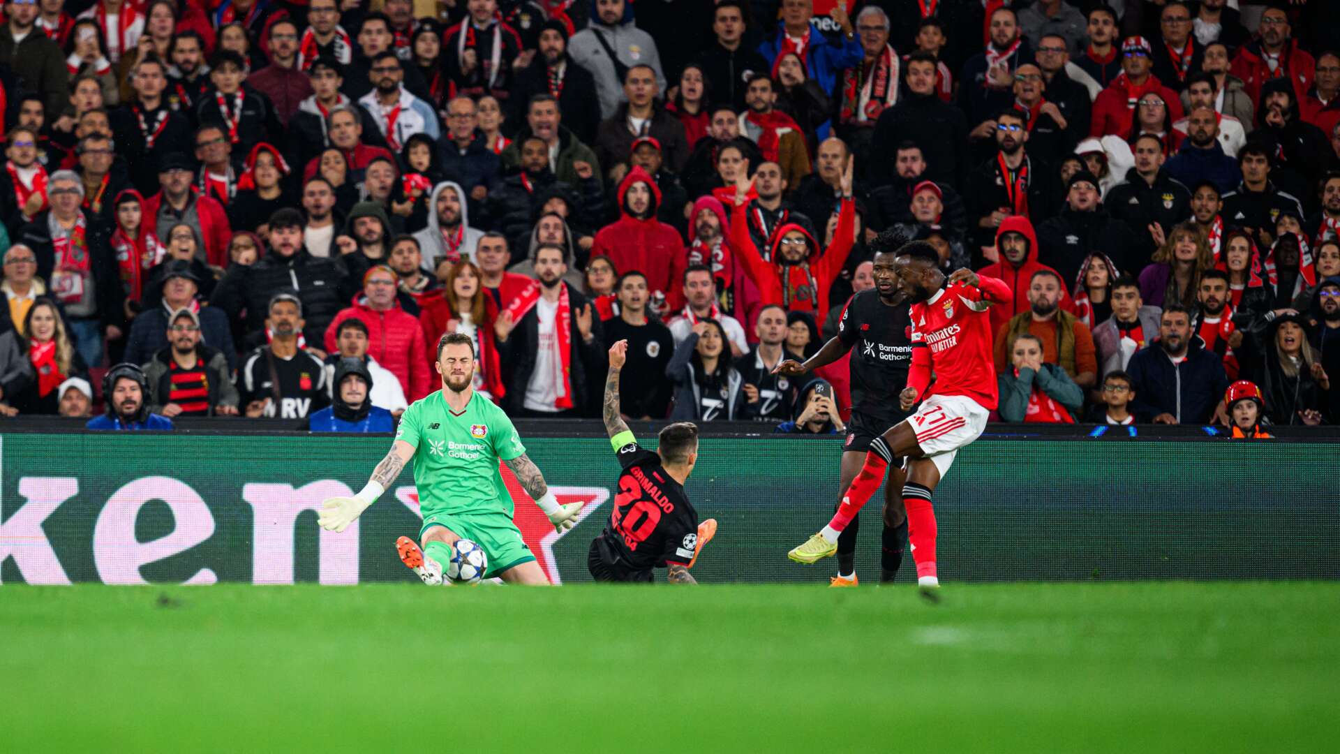 © Bayer 04 Leverkusen Fussball GmbH