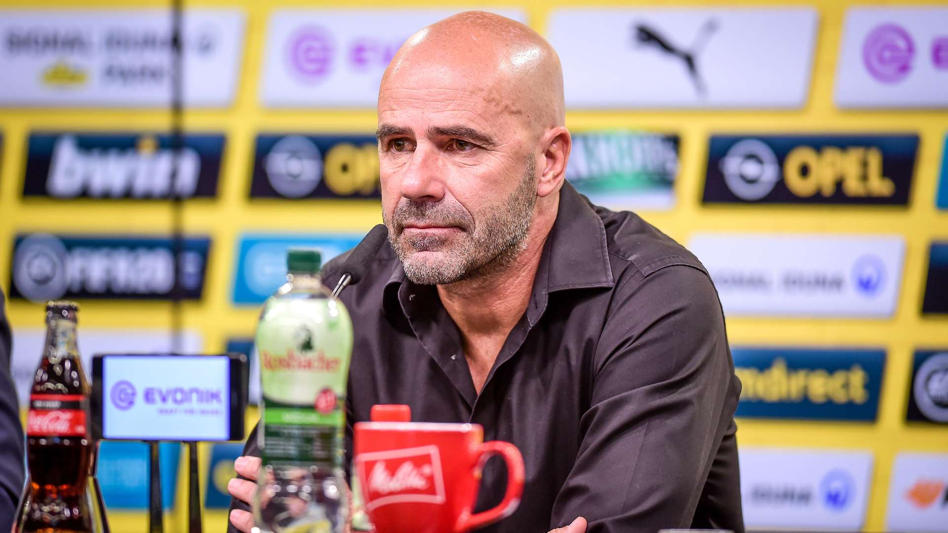 Peter Bosz - Cheftrainer