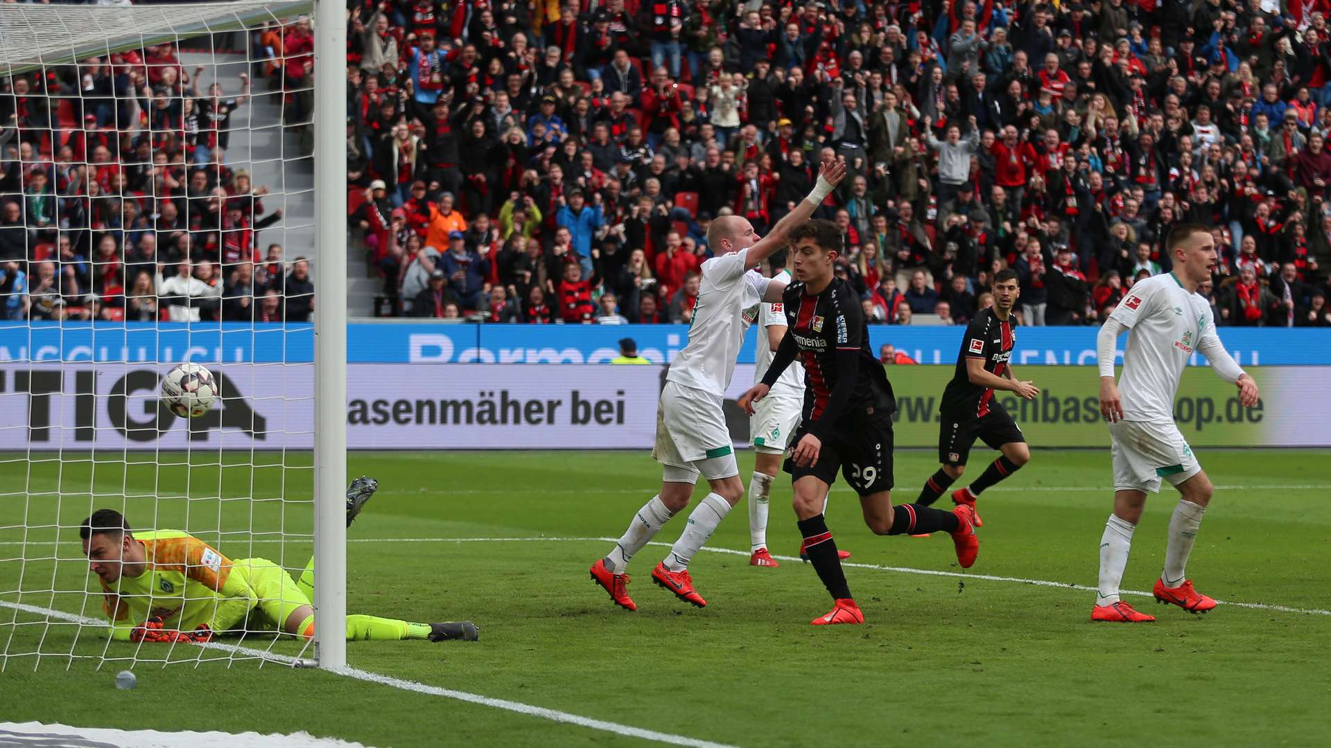 © Bayer 04 Leverkusen Fussball GmbH