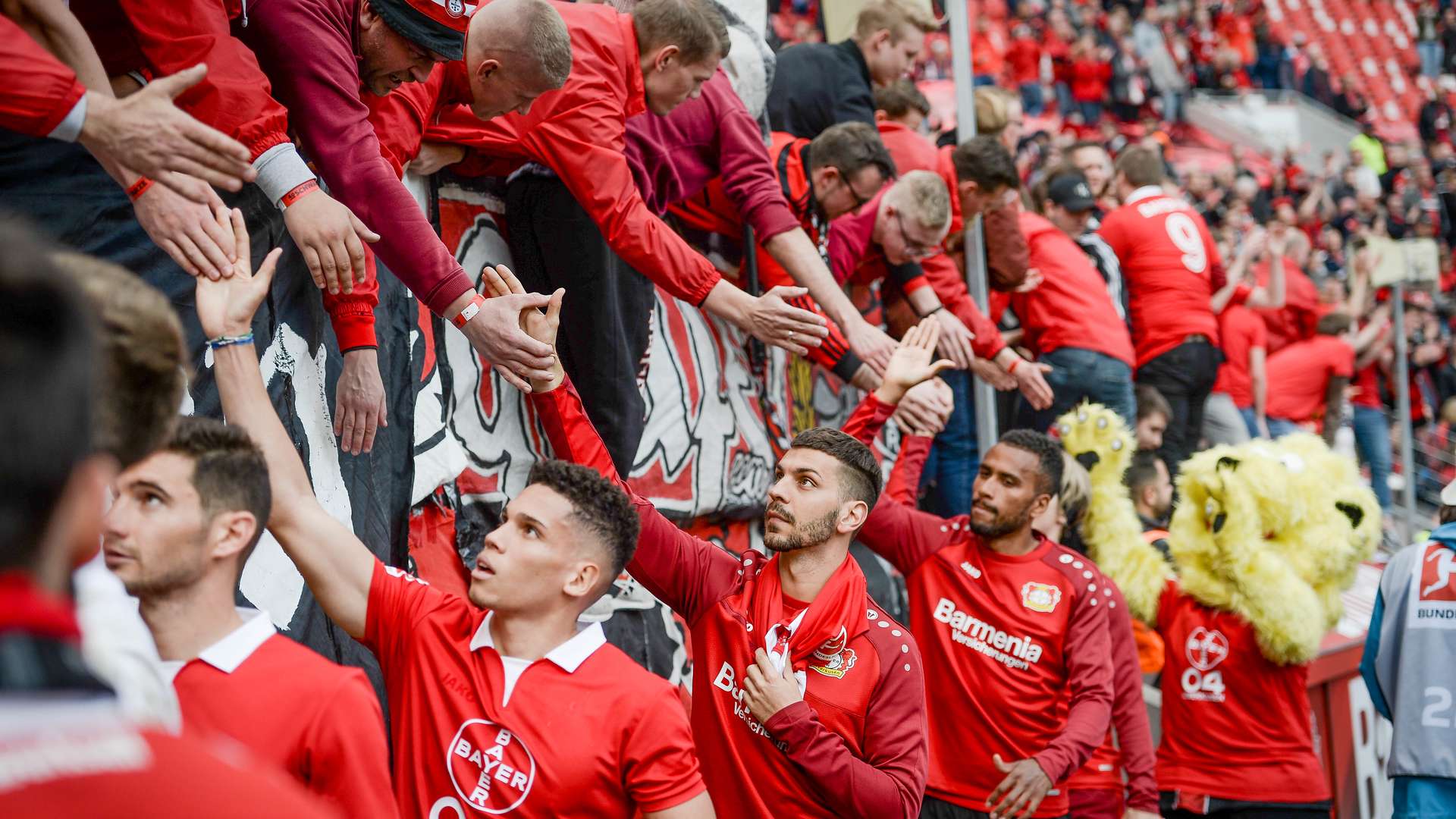 © Bayer 04 Leverkusen Fussball GmbH