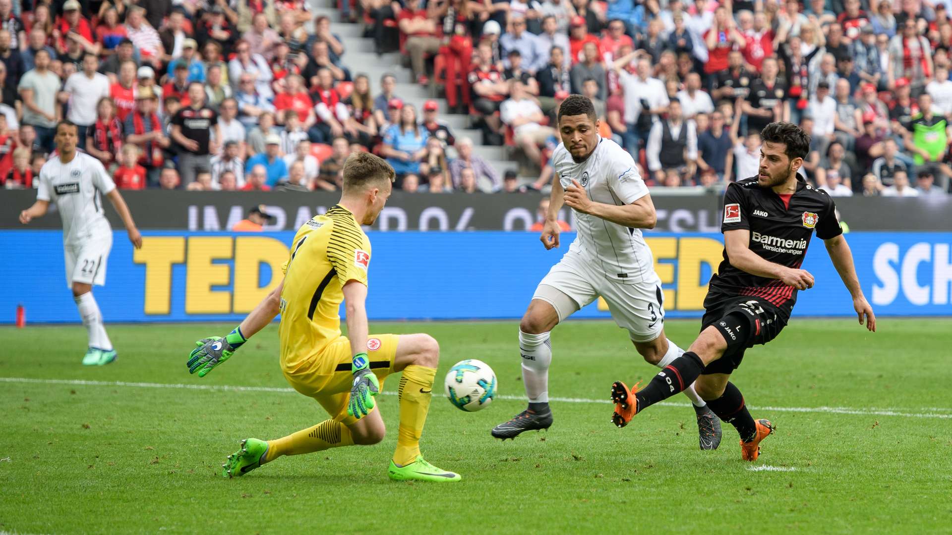 © Bayer 04 Leverkusen Fussball GmbH