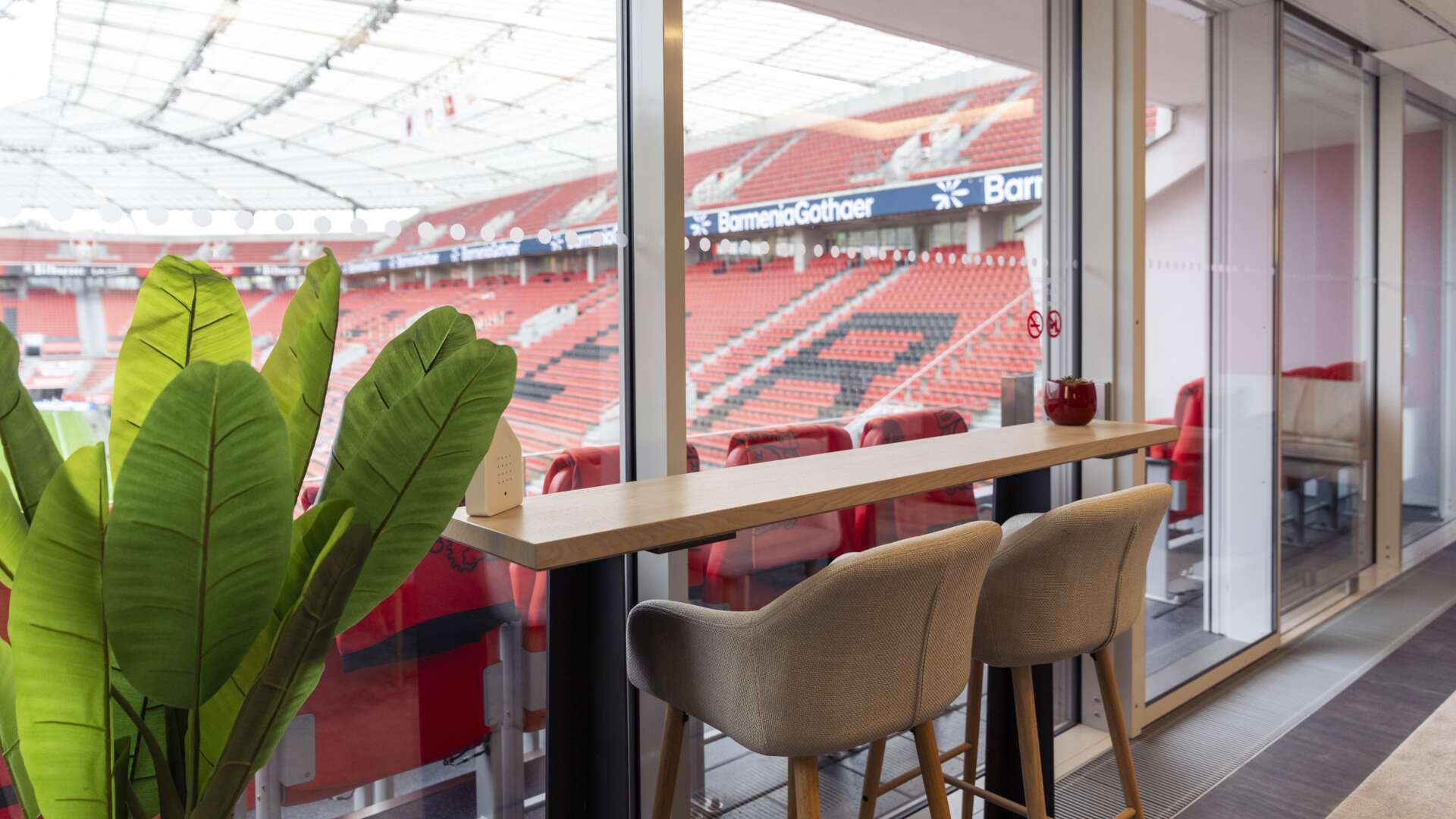 © Bayer 04 Leverkusen Fussball GmbH