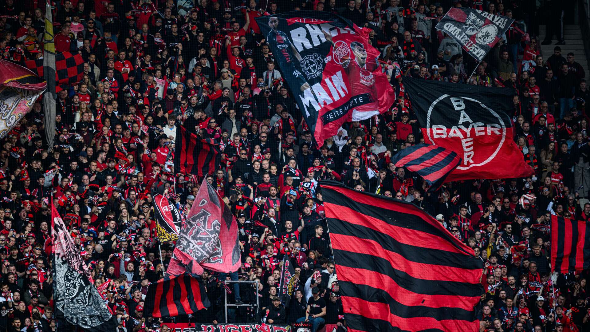 © Bayer 04 Leverkusen Fussball GmbH