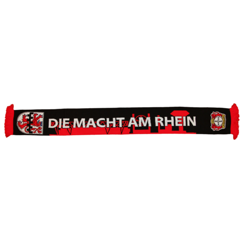 Bayer 04 Leverkusen Schal Pokalfinale 2020
