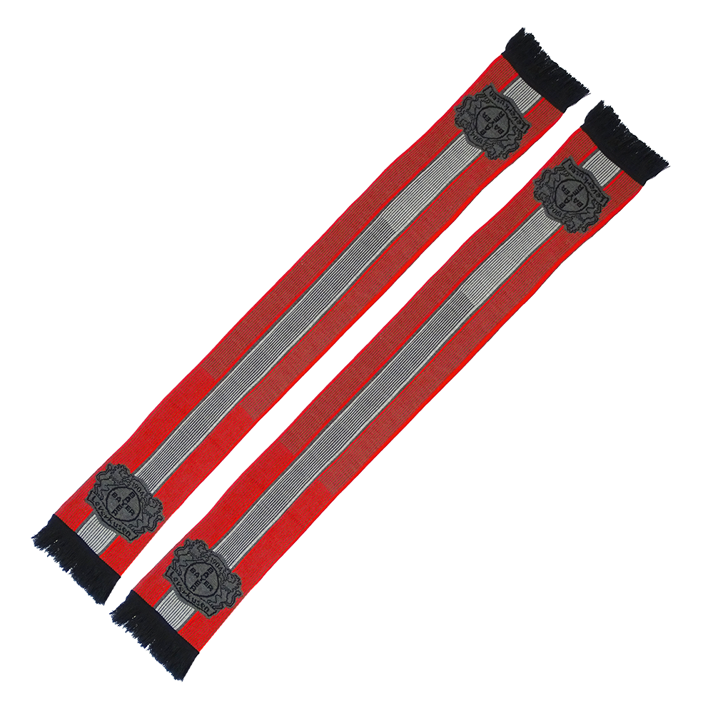 Schal Streifenelf Bayer 04 Leverkusen