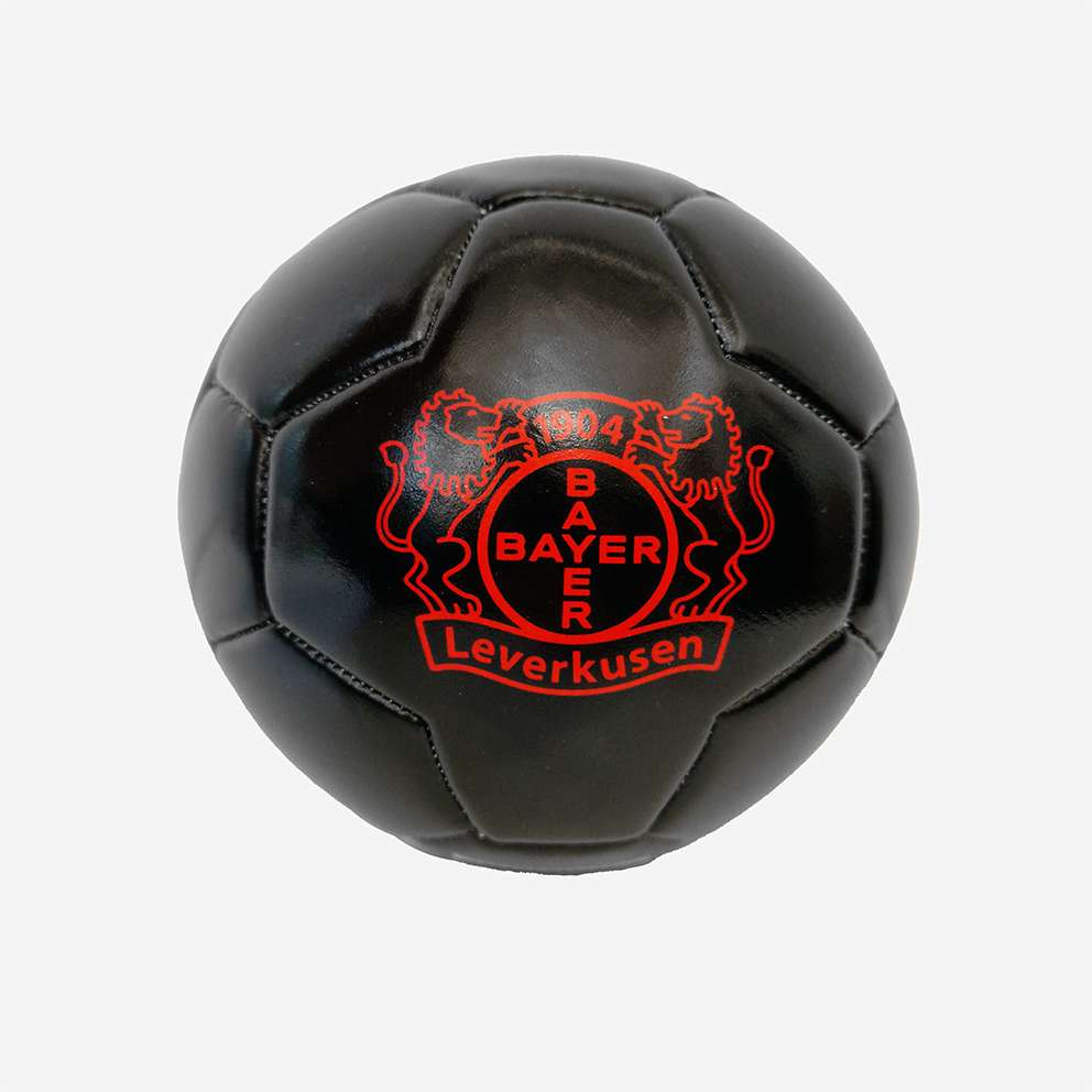 Lisaro Mini-Fußball Set - 10x Kleine Bälle 48cm Für Kinder & Training