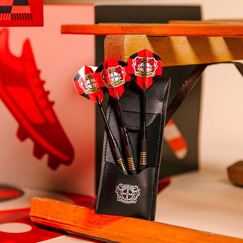 Dartset mit Etui