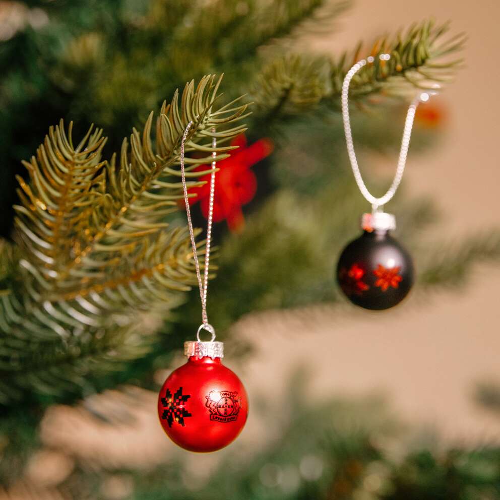 Mini-Weihnachtskugeln Schneeflocken 10er-Set