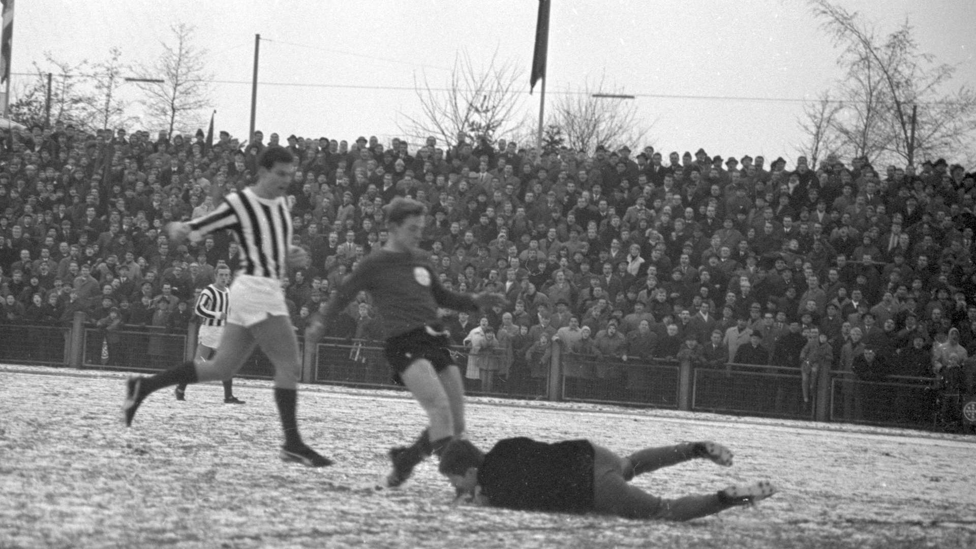 19671211_Peter_Ruebenach_1.jpg