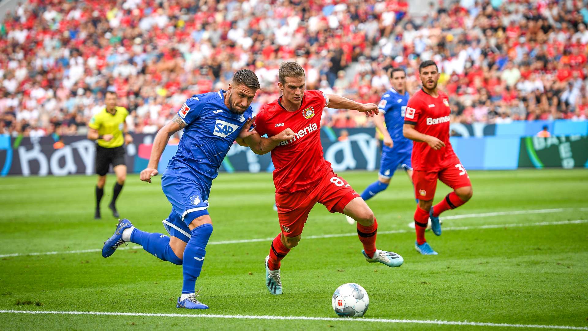 20190831_B04_gegen_Hoffenheim_60249.jpg