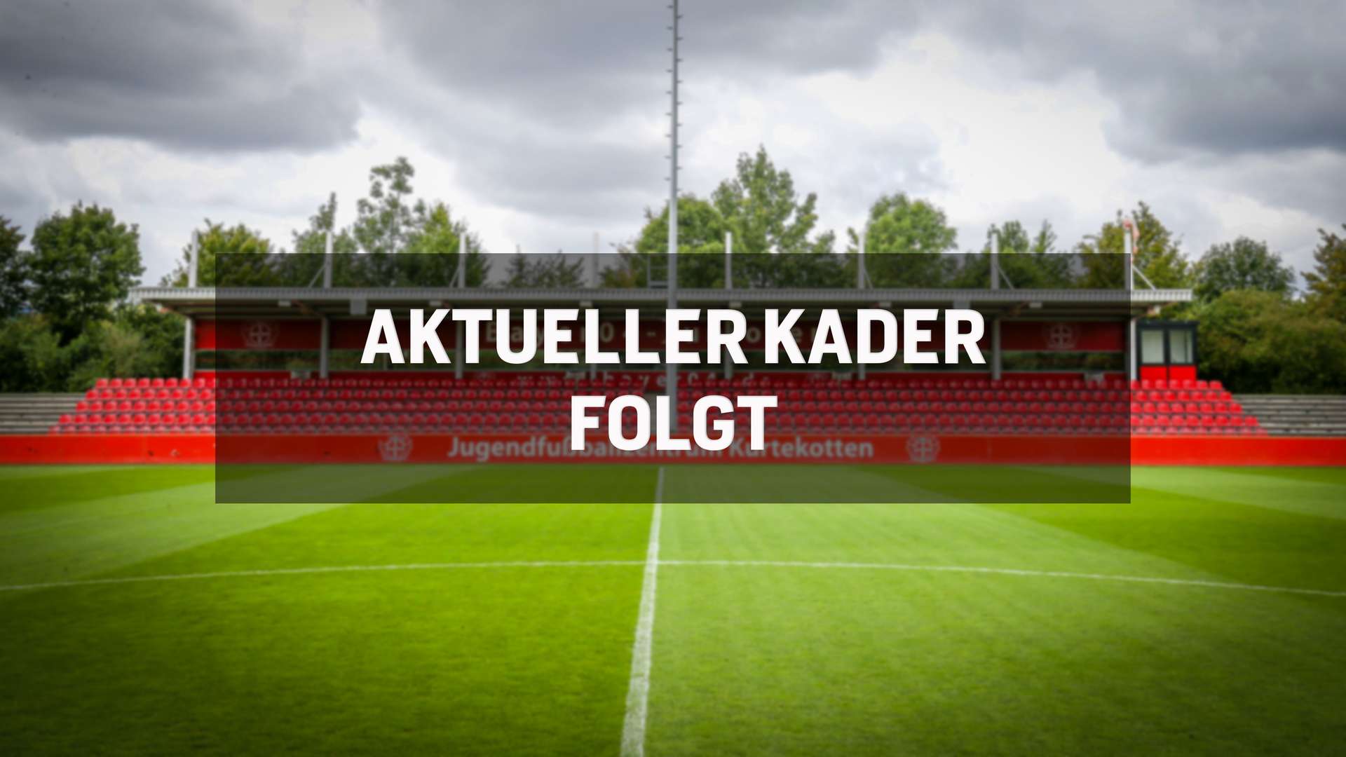 Bayer 04 Leverkusen U13 Bayer04 De