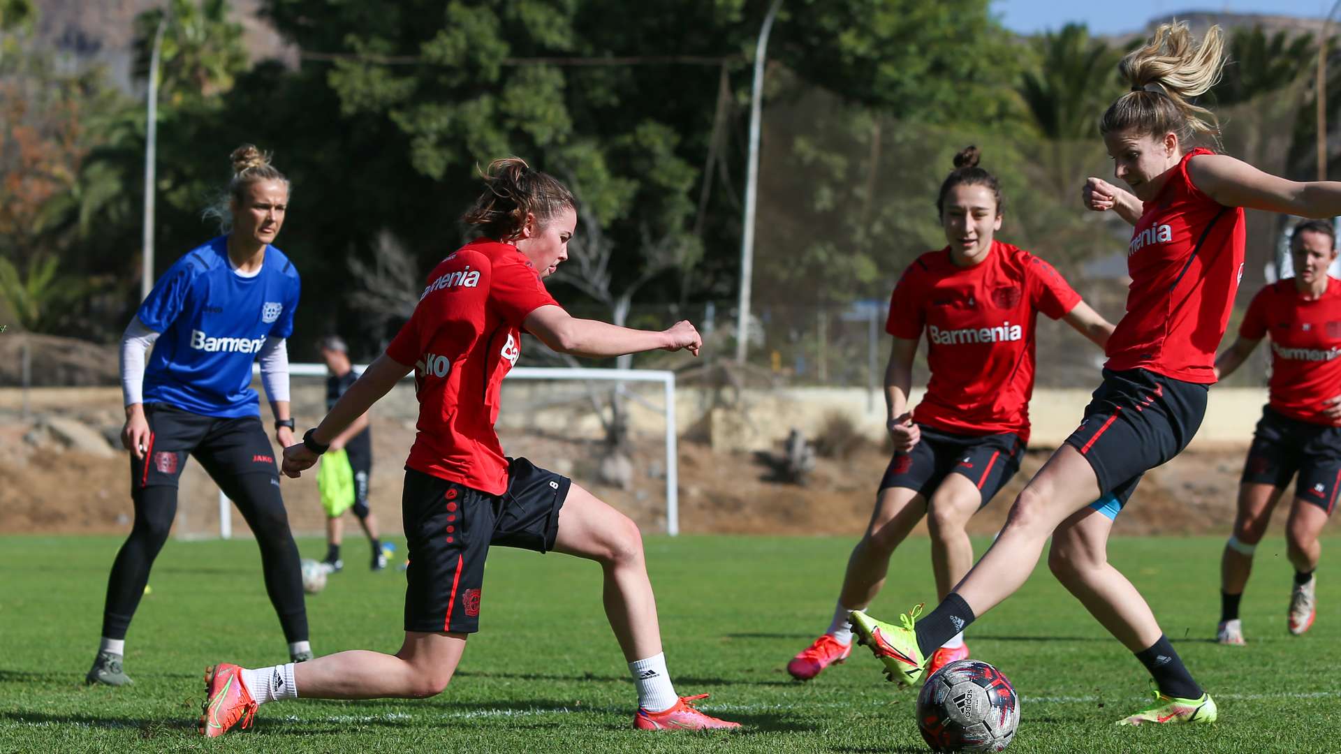 © Bayer 04 Leverkusen Fussball GmbH