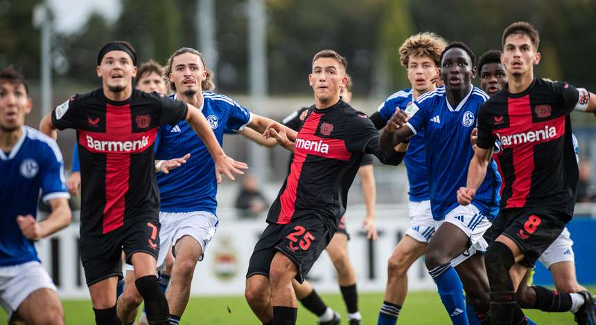 20231022_NB_B04_U19_vs_Schalke_U19_107241.jpg