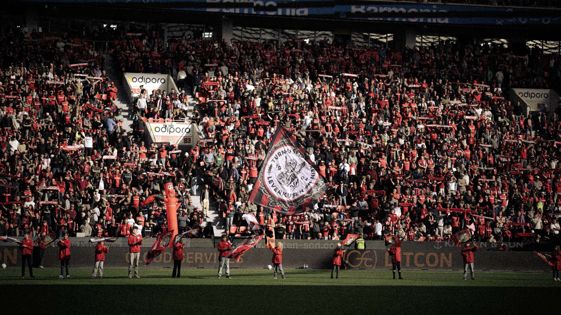 Fans