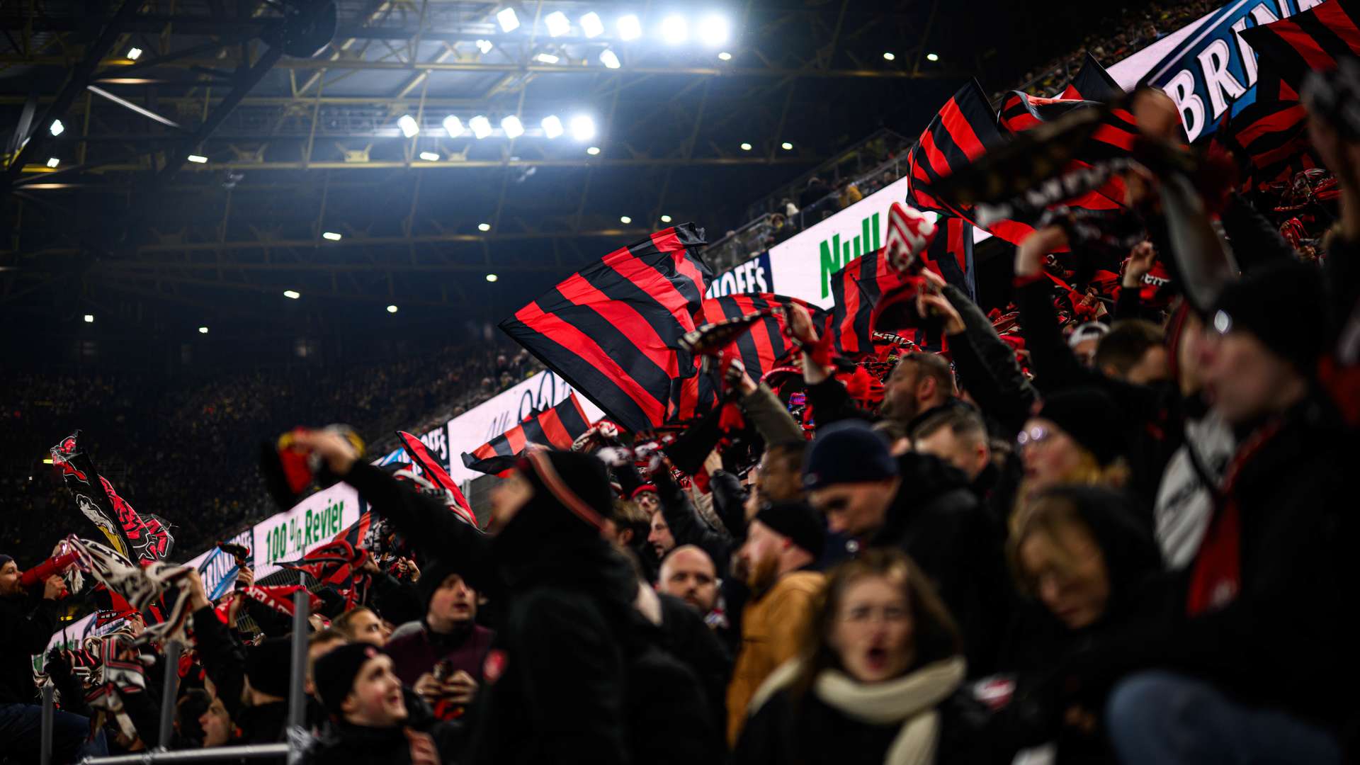 Bayer 04-Fans in Dortmund