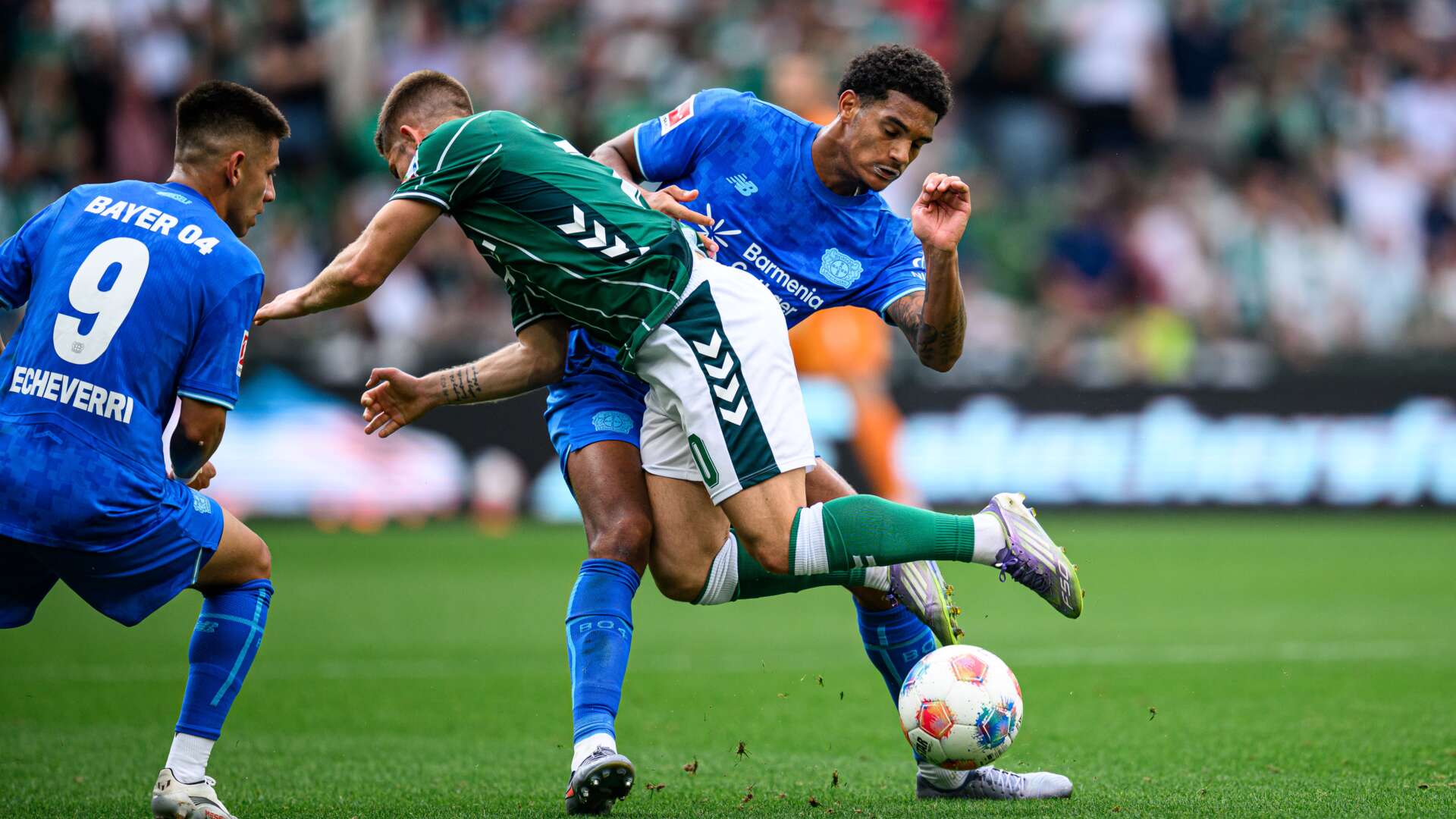 SV Werder Bremen vs. Bayer 04