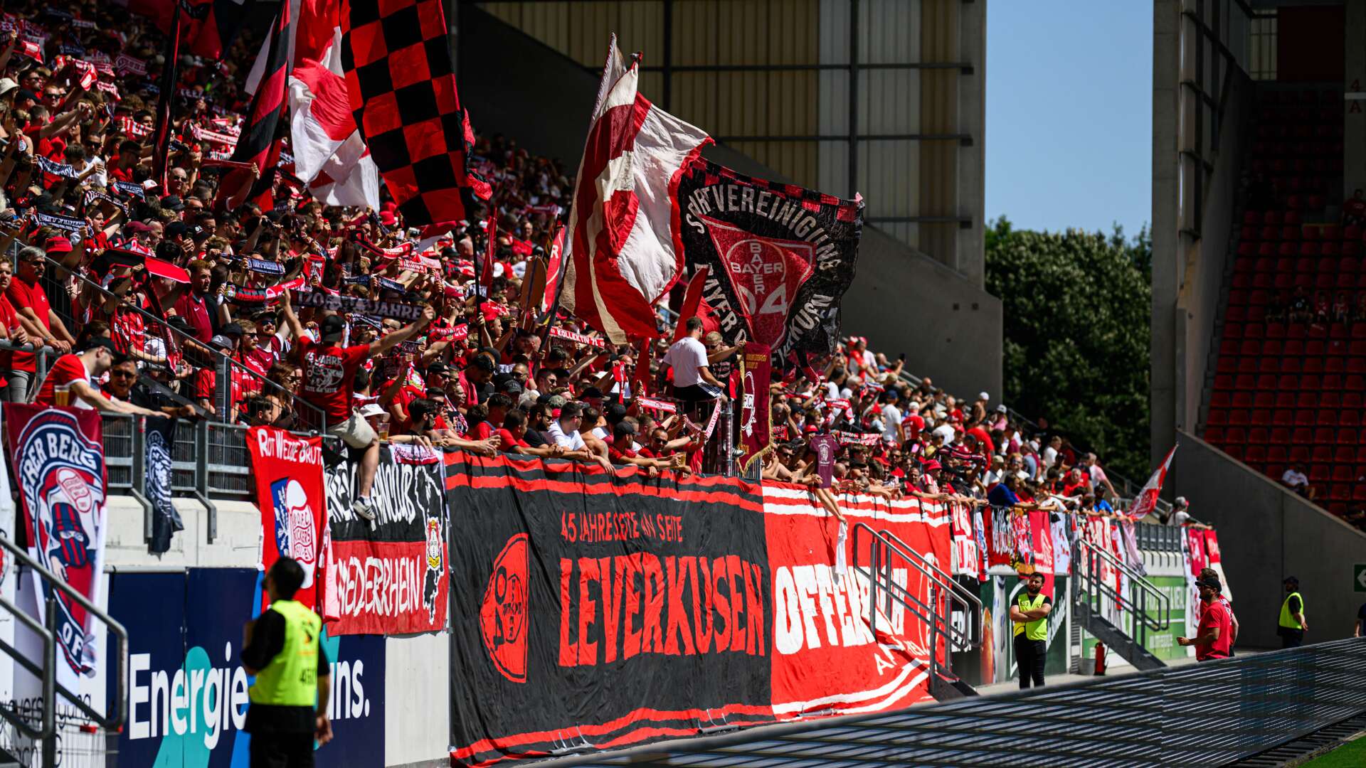 Fans