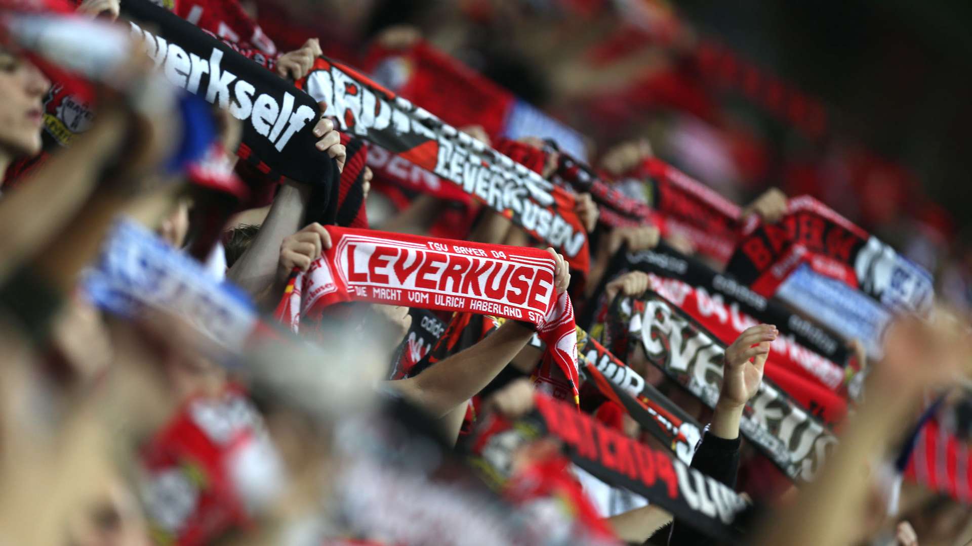 Fans | Bayer 04 Leverkusen