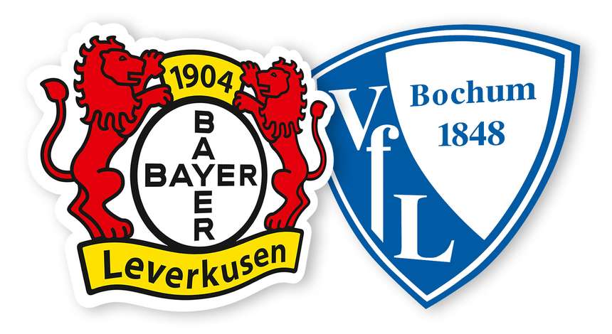 Bayer04_VfL_Bochum_1718.jpg