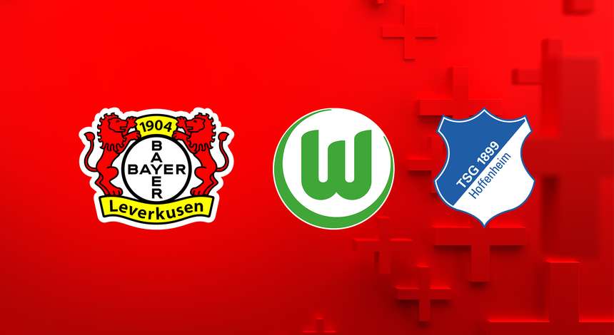 Bayer04_Wolfsburg_Hoffenheim_2324.jpg