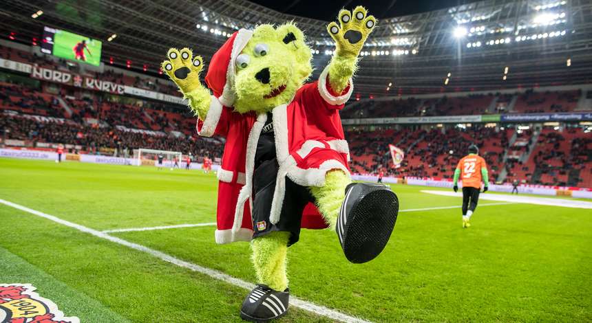 Brian_the_Lion_BayArena.jpg