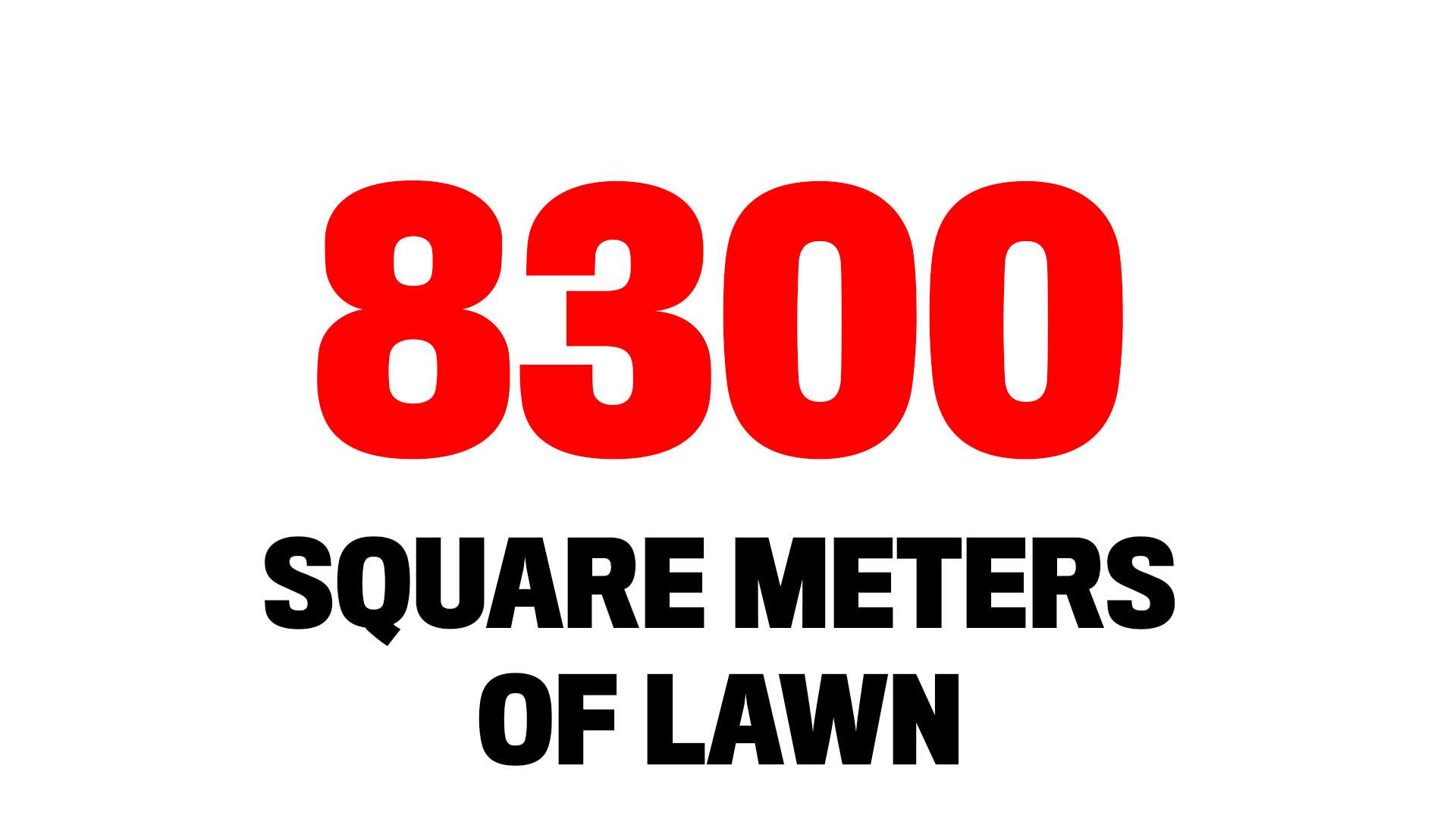 Facts BayArena square meters of lawn