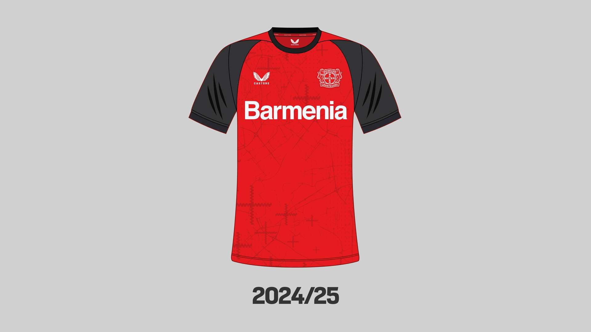 Trikot 2024/25