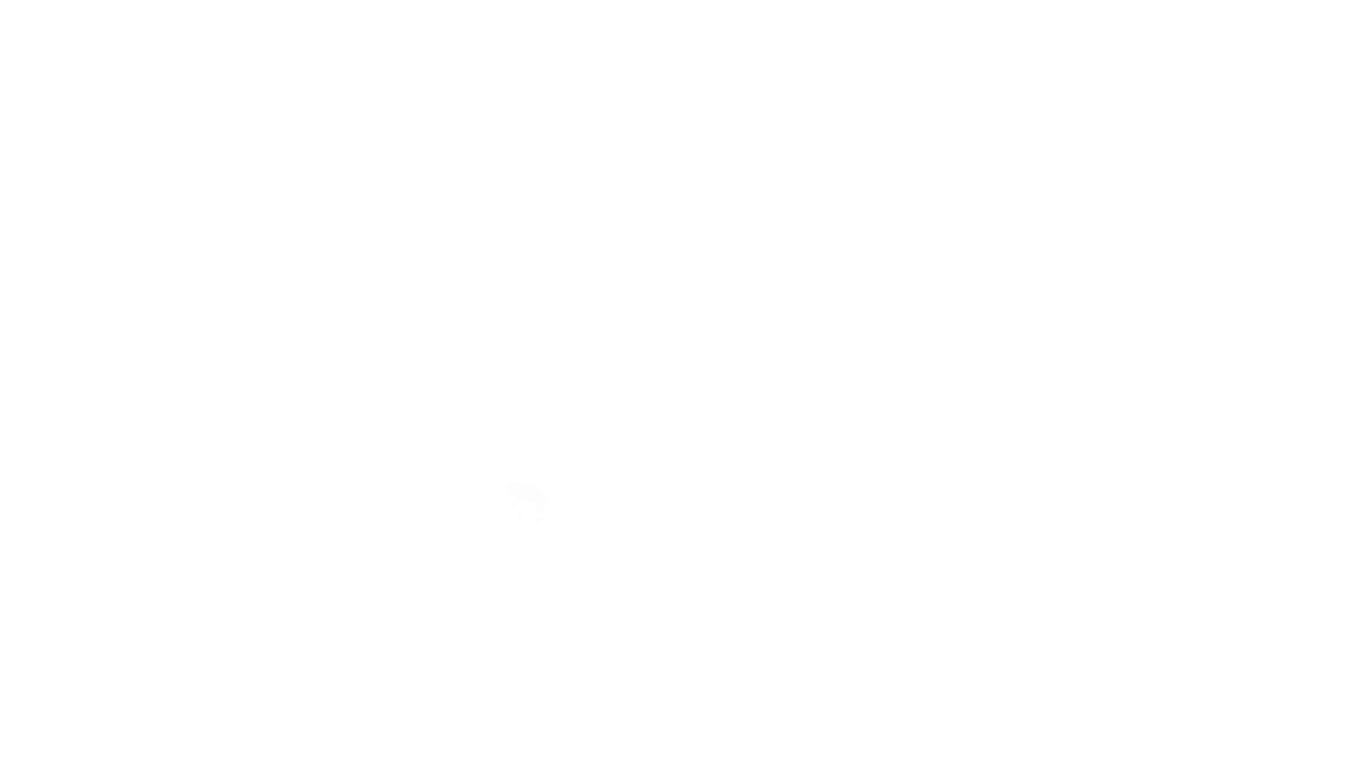 KANN_Baustoffwerke_GmbH_Logo_white_1920px.png