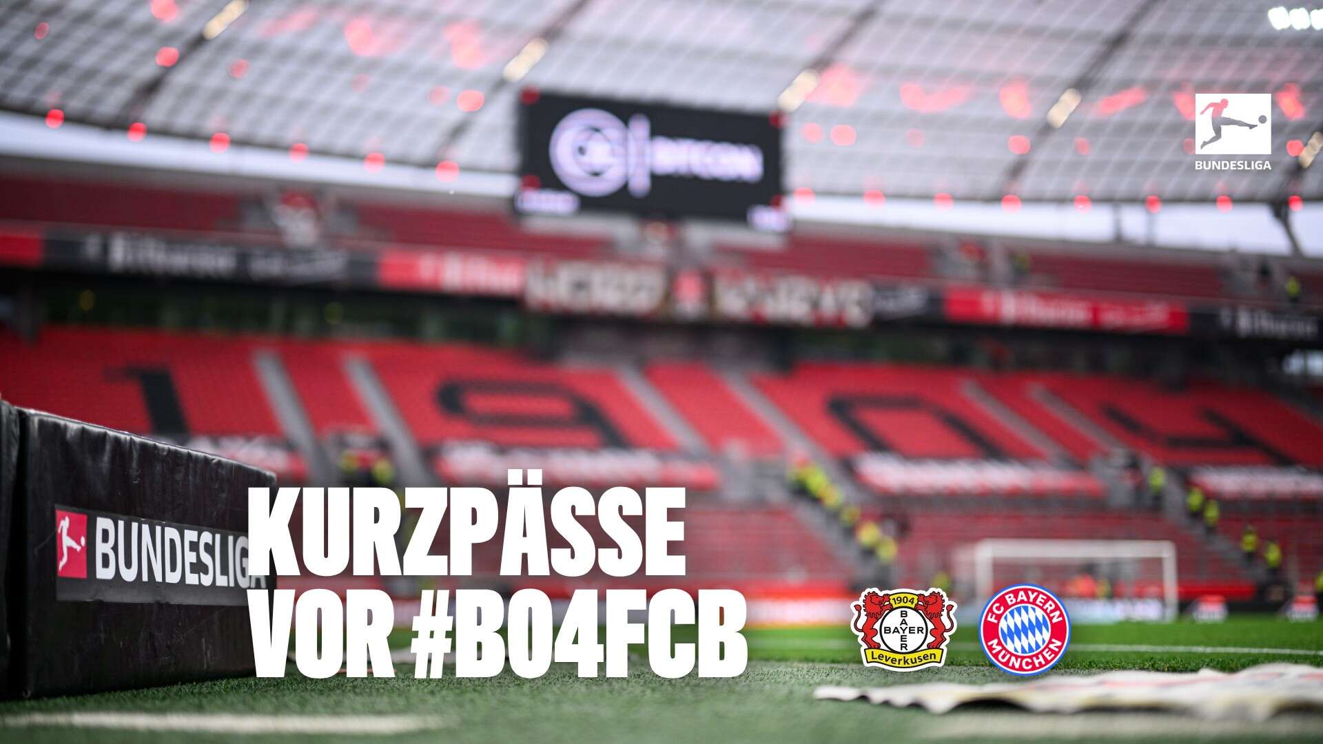 Imagem da notícia - Bayer 04 Leverkusen Fussball GmbH