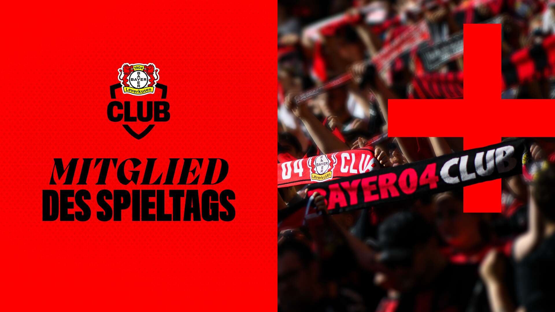 Mitglied des Spieltags