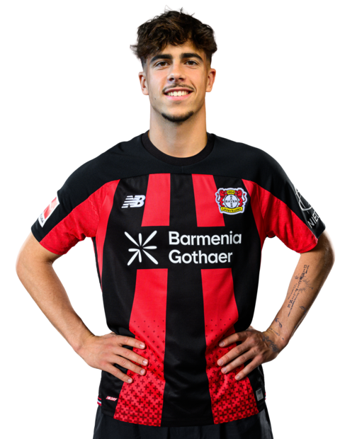 Afonso Moreira