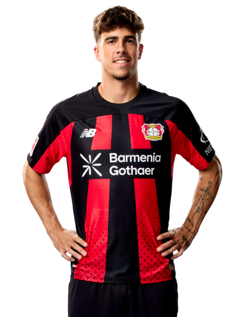Afonso Moreira