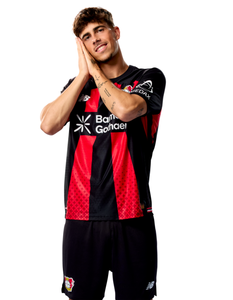 Afonso Moreira