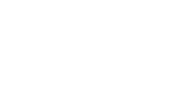 Nacon Logo